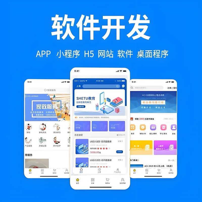 广州软件开发:行业发展的新引擎