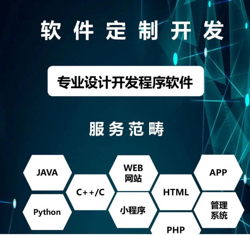 软件定制开发:构建企业专属的应用